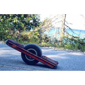 10.5Ah 700W One Wheel Manual Skateboard With Guard Rail