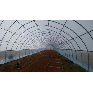 Light Transmittance 90% Tunnel Greenhouse Vegetable Farming With Galvanized Steel Frame