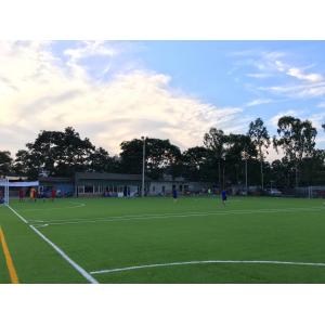 Multi-Purpose Artificial Football Grass For Outdoor Soccer Field