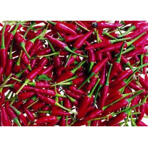 Tianjin Dry Red Chilli Whole Anhydrous Seedless Dried Red Chile Pods