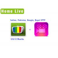China Homelive apk iptv Indian Pakistan Bangla Nepal iptv with Bolly-tube VOD movie stable for android tv box on sale