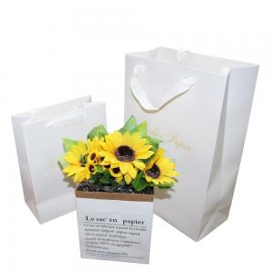 China 4C Printing Luxury Shopping Paper Bag , White Gift Bags With Ribbon Handles supplier