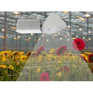 Deep Penetration Indoor Grow Lights , B281 Plus 630W MH Grow Lights For Indoor Plants