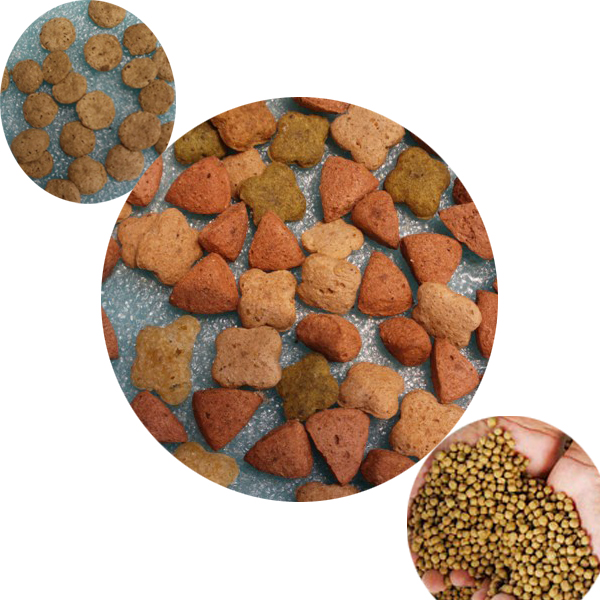 China Máquina do alimento de peixes da eficiência elevada/máquina da extrusão/máquina aquática da pelota da alimentação para alimentar o yo supplier