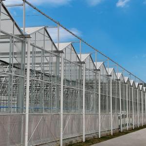 China Agricultural Multi Span Hydroponic Fiber Glass Greenhouse For Vegetables Growing supplier