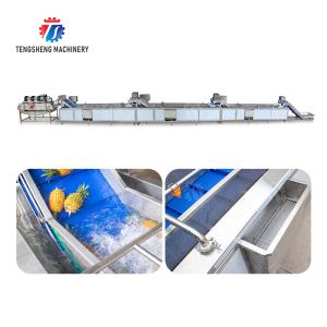 China Maximice sus ganancias con nuestra avanzada máquina de procesamiento de frutas y verduras wholesale