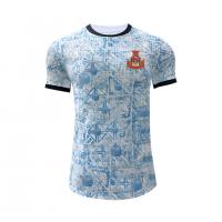 China Portugal Euro Cup Player Edition Jersey 100% Polyester Standard Thickness on sale