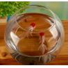 hand blow glass terrarium fish tank decoration glass container 10cm diameter and