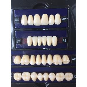 Dental Synthetic Resin Teeth Materials Multi Layers Composite False Teeth HSS3 HC3 M32