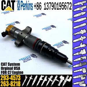 CAT Fuel Diesel Injector 293-4573 267-9717 267-9710 267-3360 254-4340 254-4339 254-4330 169-8598