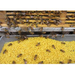 China Pure Fresh Rape Pollen Natural Pure Bee Pollen Bee Product local bee pollen supplier