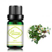 China MSDS Tea Tree 100% Pure Plant Essential Oil For Aroma Diffuser on sale