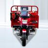 China Tri Wheel Cargo Tricycle Motorcycle with 800KG Loading Capacity and 50*100 Chassis wholesale