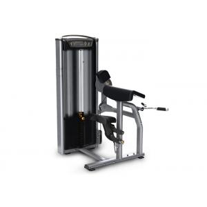 China Professional Commercial Gym Equipment Muscle Building OEM ODM Service supplier
