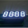China Pure Green 4 Digit 7 Segment Led clock Display 0.56 Inch common anode For Instrument Panel wholesale