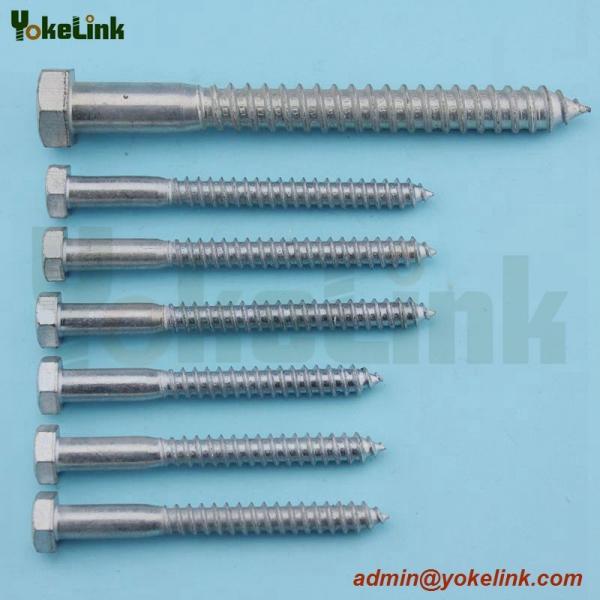 Lag Screw