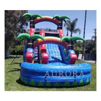 China Water Slide Bounce House Inflatable Popular Water Slide Inflatable Adult Size on sale