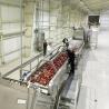 China Alto costo de rendimiento línea completa de procesamiento de peras personalizada planta de producción de manzanas y peras zumo de peras equipo máquina de pulpa de peras wholesale
