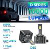 China Les lampes à incandescence de la série D de Masters 100W 10000 lumens 6500K D1S/D1R D2S/D2R D2H D3S/D3R D4S/D4R D5S/D5R D8S/D8R wholesale
