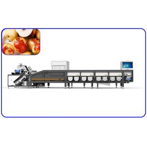 China Large Yield 50Hz 7.5KW Date Sorting Machine 8 Lanes Food Sorting Equipment supplier