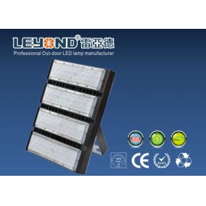 China 250 W High Power LED Flood Light 36 Degree Beam Angle High Pole Lighting Ourdoor supplier