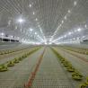 China High Quality Poultry Feeding and Drinking System for Broilers wholesale