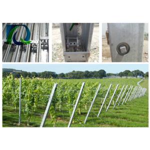 Hot Dipped Galvanized Grape Vine Posts / Heavy Duty Vineyard End Posts For Grape Growing