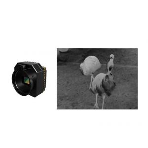 Uncooled Infrared Thermal Security Monitoring Camera Module With Optional Lens