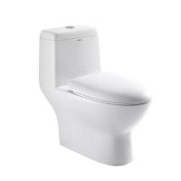 China 1 Piece Dual Flush Toilet Elongated Bowl 0.8/1.2 GPF Soft Closed Seat on sale