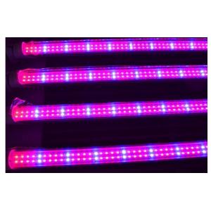China Full spectrum 18w T8 led grow light for plant growth , flower and vegetable supplier