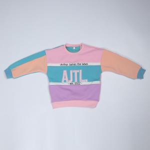 3D Embroidery Pullover Fleece Sweatshirt With Patchwork Color