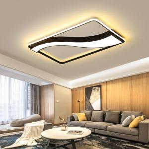 China Led ring ceiling light with Acrylic Lampshade for Indoor home Lighting Fixtures (WH-MA-76) supplier