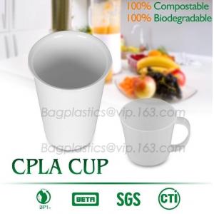16 oz PLA compostable coffee paper cup with CPLA compostable lid,100% compostable pla coated paper cup 6OZ with CPLA Lid