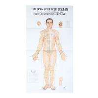 China 1.2*1.6m Acupuncture Culture 3pcs Per Set For Teaching Acupuncture Points on sale