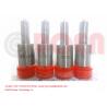 Common Rail Injector Nozzles Injector Spay Nozzle DLLA150S186 0433271045