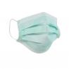 Surgical Antibacterial Disposable Mask 2 Ply Dust Mask Personal Protective