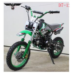 D7-12e 110cc Electric and Kick Start Dirt Bike