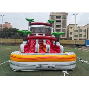 China PVC Stripes Double Lane Water Park Games Slide With Pool supplier