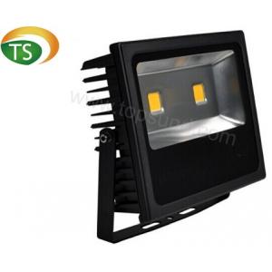 China 2014 High power 100w outdoor led flood light supplier