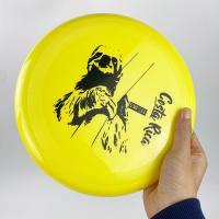 China Professional Ultimate Flying Disc Beach Frisbee Discraft 175g Ultimate Disc on sale