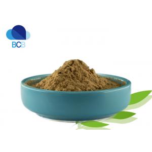 Echinacea Extract Powder Dietary Supplements Ingredients Herb Chicoric Acid 4%