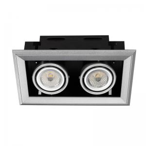 China frame LED downlight 2*10W with built- in driver LED down light with 2 led lamps supplier