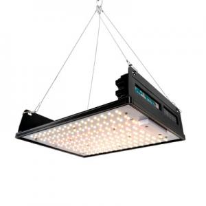 Customizable 150w Led Grow Light IP65 Flat Panel Grow Lights High Efficiency