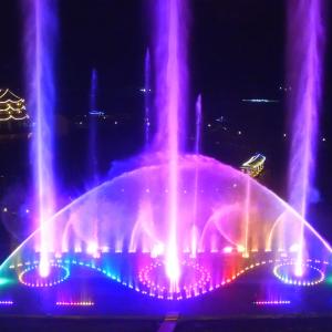 Garden RGB LED Light Floating Dancing Musical Water Fountain