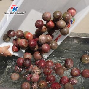 China Fruit orange pommes de terre wholesale