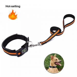 China Modern Custom Dog Collar And Leash Adjustable Kit Pet Matching supplier