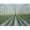 China 9000m Polypropylene UV Stabilized Tomato Tying Garden Twine wholesale