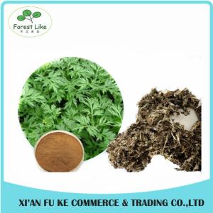Chinese Herb Extract Mugwort Leaf Extract 5:1- 20:1
