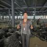 China MZP Type Kn Anti tank Wire Net Low Visibility Tank Trap For Various Terrains Vehicle Immobilization Defense Barrier wholesale