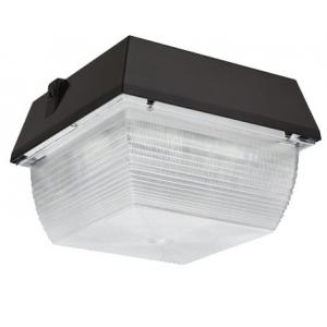 petrol led light 30w 40w 50w ceiling explosion proof lobby lamp led factory canopy fixture